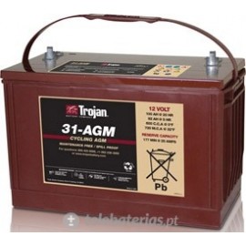 Batterie trojan 31 - agm 12v 100ah