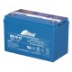 Fullriver Dc115-12A 12V 115Ah battery