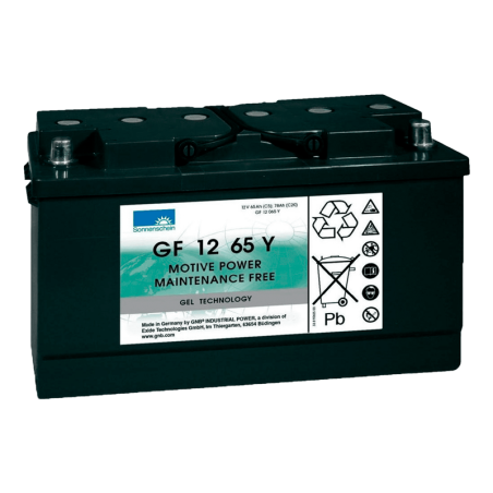 Comprar Batería Sonnenschein GF12065Y